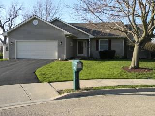 1315 Lawrence Ct, Aurora, IL 60504-6858