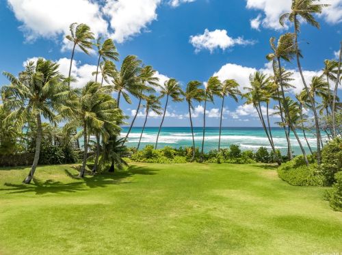 3707 Diamond Head Rd, Honolulu HI  96816-4431 exterior