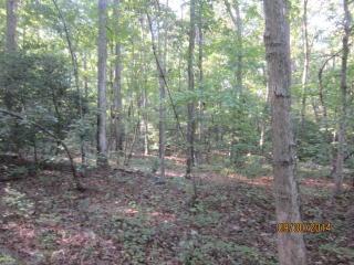 6087 Dogwood Trl, Harlem, GA 30814-3419