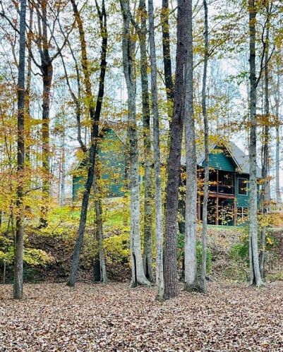 620 Bearslide Holw, Dahlonega, GA 30533-8787