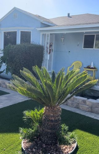 1401 Castlegate Ave, Compton, CA 90221-5213