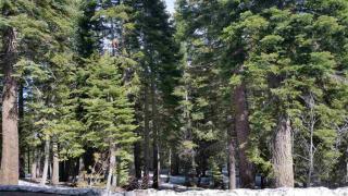 12929 Ski Slope Way, Truckee, CA 96161-7022
