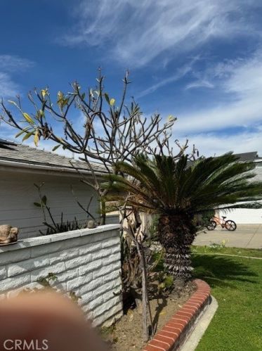 17191 Buttonwood St, Santa Ana, CA 92708-3567