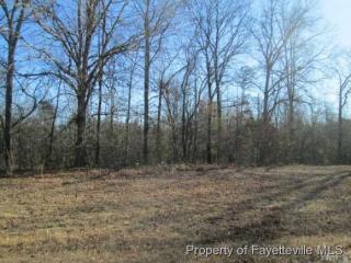 195 Maple Leaf Ct, Lillington, NC 27546-5681
