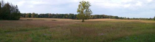 760 Knox Rd, Chapmansboro, TN 37035-5012