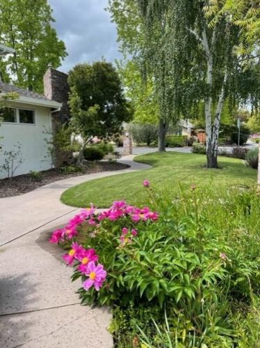 1213 Brentwood St, Los Altos, CA 94024-5420