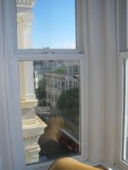 1736 Grant Ave, San Francisco CA  94133-3043 exterior