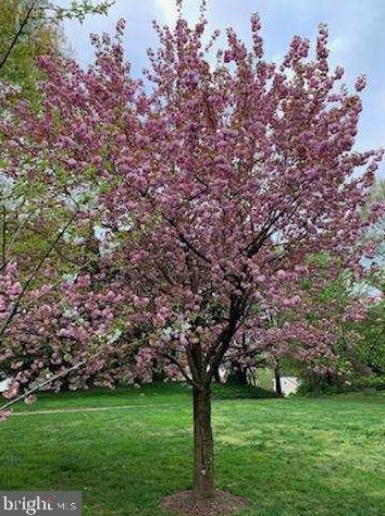 1503 Sillaman Ct, Arnold MD  21012-2571 exterior