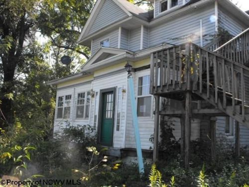 113 Hetzel Ave, Belington, WV 26250-9475