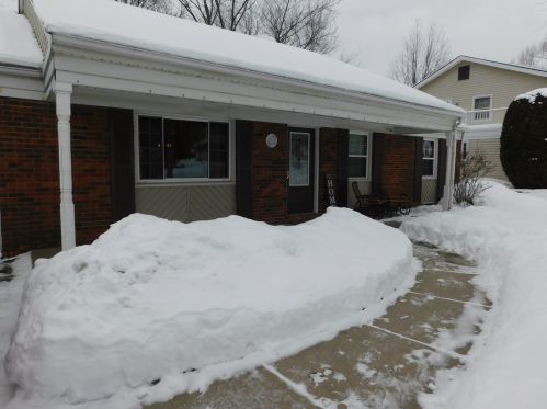 899 Bernard Dr, Buffalo Grove, IL 60089-3216