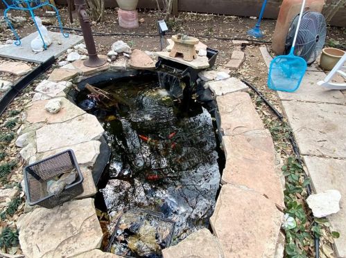 4803 Counts Cv, Austin TX  78749-3755 exterior