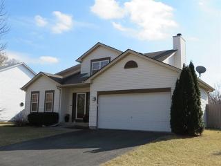 1445 Basswood Dr, Lemont, IL 60490-5419