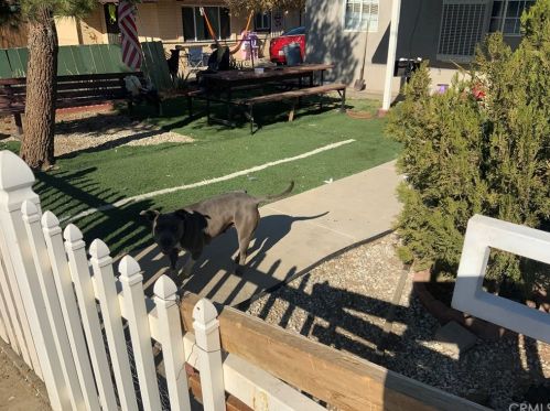 11862 Hardy Ave, El Mirage, CA 92301-1621