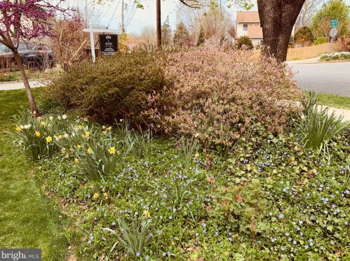 2233 Luzerne Ave, Silver Spring MD 20910-2135 exterior