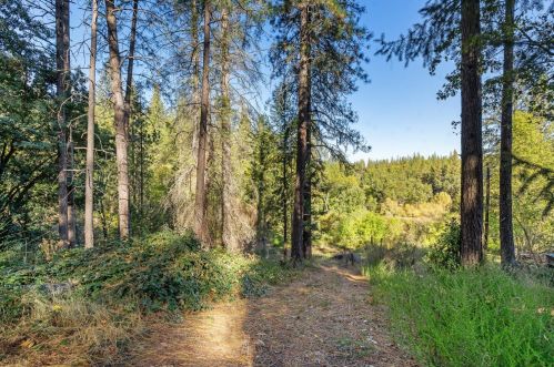 5201 Westley Rd, Swansboro Country, CA 95667-8582