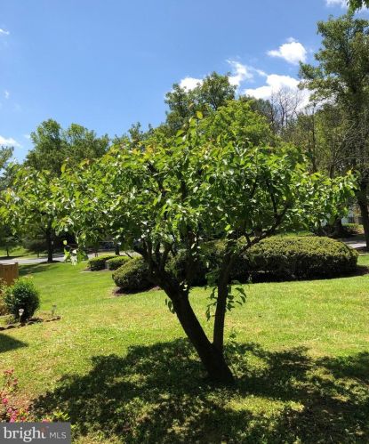 1414 Elm Grv Cir, Silver Spring MD 20905-6060 exterior