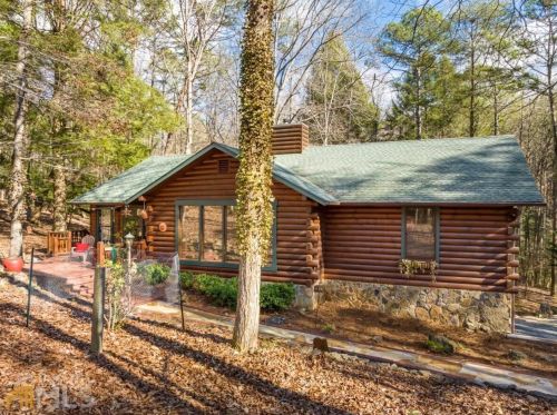 827 Etowah Dr, Ellijay, GA 30540-0633