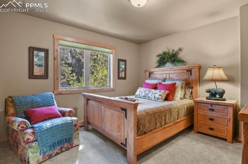 133 Elk Grove Ln, Woodland Park CO 80863-9171 exterior