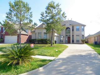 4207 Ferro St, Stafford, TX 77477-5248