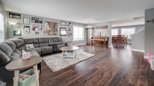 14301 Springfield Ct, Plainfield, IL 60544-2668