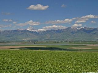 7055 2700, Petersboro, UT 84325