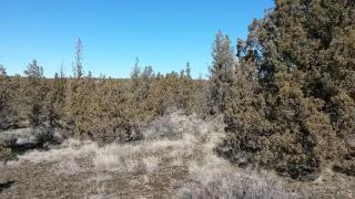 1898 Texas Cir, Prineville, OR 97754-9463