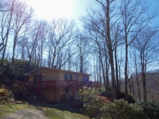 399 Old Chestnut Mountain Rd, Beech Bottom, NC 28657-8642