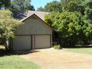 45 Fernbank Cv, Counce, TN 38326-4062