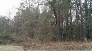15386 Old Houston Rd, Conroe, TX 77302-5508