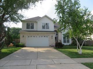 22550 Bass Lake Rd, Plainfield, IL 60544-7116