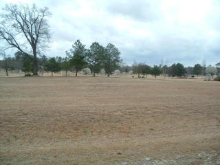 149 Titleist Dr, Goldsboro, NC 27530-5545