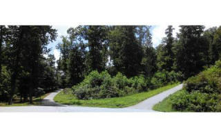 12 Meadows Ln, Ellijay, GA 30536-0051