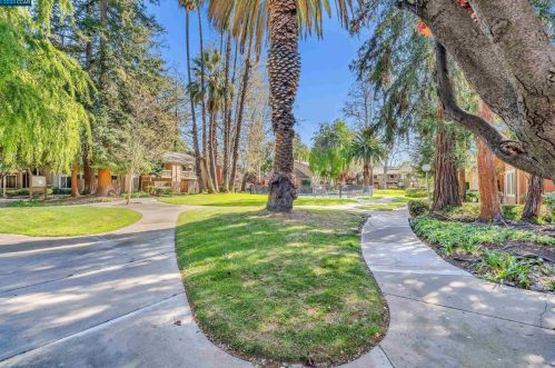 810 Oak Grove Rd, Concord CA  94518-3562 exterior