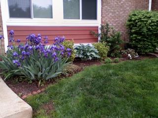 40 Bayberry Ct, Millstone, NJ 08844-1402