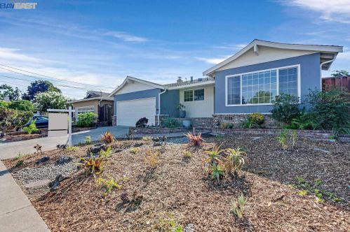 20253 Meadowlark Dr, Hayward, CA 94546-4416