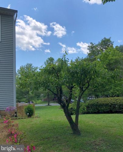 1414 Elm Grv Cir, Silver Spring MD 20905-6060 exterior