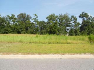 120 Olympus Ln, Conway, SC 29526-8081
