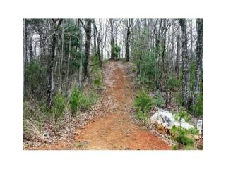 65 Merriam Dr, Ellijay, GA 30540-0009