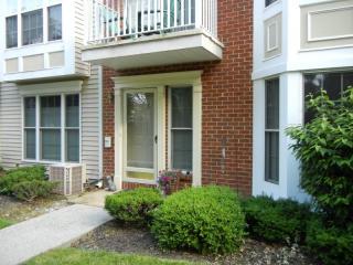 3608 Riddle Ct, Bridgewater, NJ 08807-5553