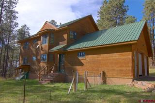 41 Hillside Dr, Vallecito, CO 81122-9850