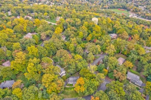 19 Ramapo Trl, Chatham Township, NJ 07928-1213