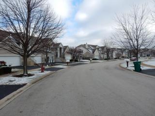 2647 Old Woods Trl, Plainfield, IL 60586-7761