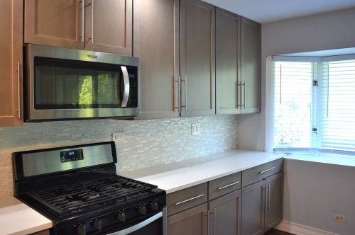 113 Walters Ln, Itasca, IL 60143-2881