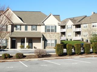 22 Stonecreek Ct, Ephrata PA  17522-3103 exterior