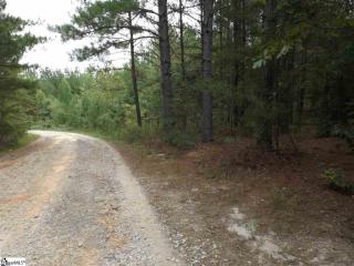 913 Robertson Bluff Ct, Marietta, SC 29661-9399