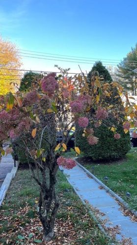 55 Pettom Rd, Norwalk, CT 06850-3114
