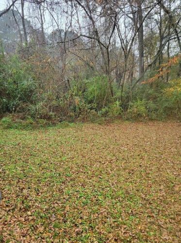 8109 Moore St, Porterdale, GA 30014-8321