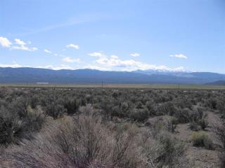 3907 Carter Way, Wellington, NV 89444-9319
