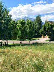 437 Settlement Ln, El Jebel, CO 81623-2195