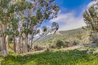 2145 Valleydale Ln, Encinitas, CA 92024-4242